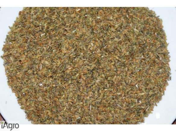 Sprzedam nasiona kozłka lekarskiego zbiór 2013 rok.