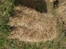 Siano w kostkach, dowóz małopolska,śląsk - zdjęcie 2