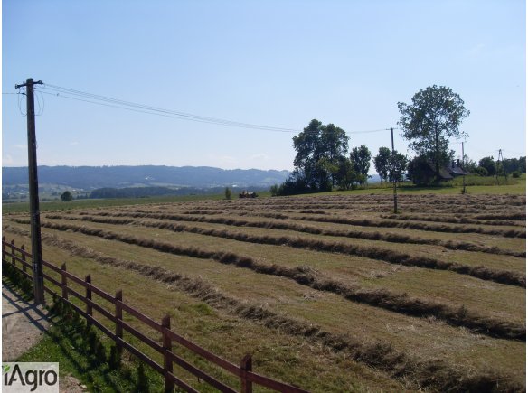 Siano w kostkach, dowóz małopolska,śląsk