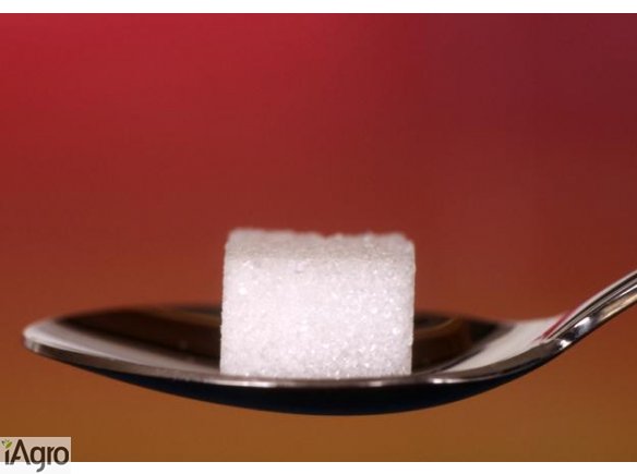 Cukier w 1 kg opakowaniach, języl czeski, słowacki,węgierski.