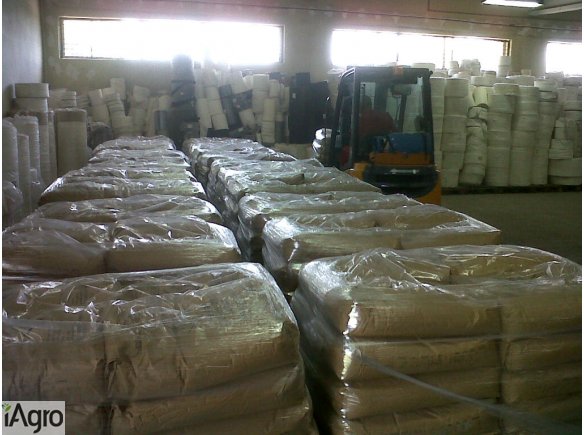 Cukier buraczany biały