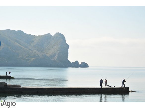 Ukraina.Nieruchomosci nad morzem,rzeka,jeziorem itp.Tanio