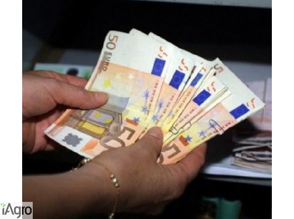  Oferują szybki i rozsądne finansowanie 