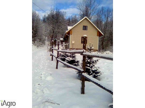 DOM Z  GRUBEGO BALA-DREWNIANEGO !OD GRANIC RZESZOWA 29 KM !  PODKARPACIE! DOM NA POGÓRZU DYNOWSKIM.PRZY LESIE! CICHO I SPOKOJNIE! PODKARPACIE !