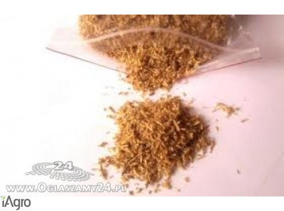 Wysokiej, jakości tytonie .