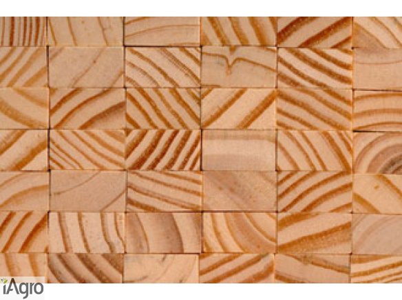 Ukraina.Trociny drzewne, zrzyny tartaczne.Cena 4 zl/m3