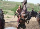 Ukraina.Stajnia koni w malowniczej miejscowosci.Na sprzedaz,wynajem - zdjęcie 5