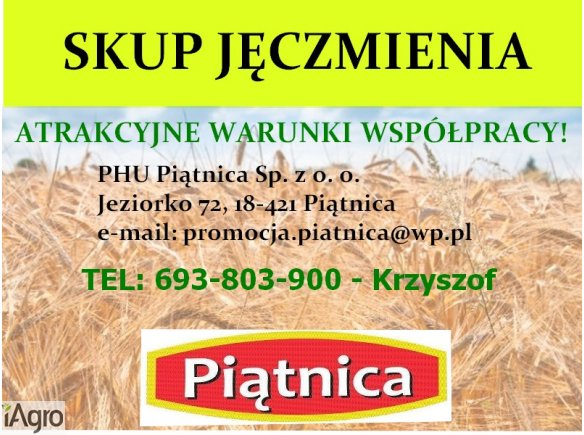 KUPIĘ JĘCZMIEŃ 
