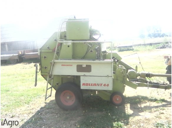 Sprzadam prase belujaca