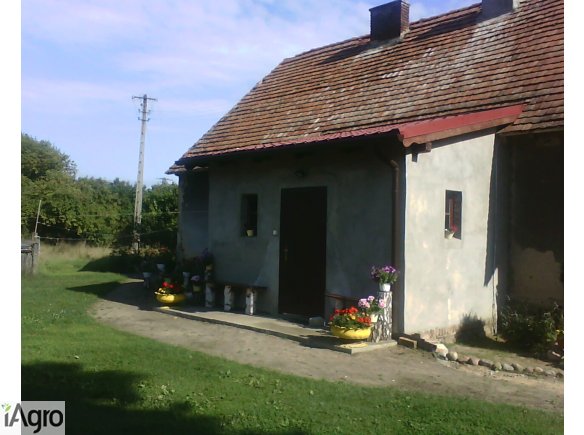 Gospodarstwo w zacisznej okolicy, ziemia, dom i las!!!