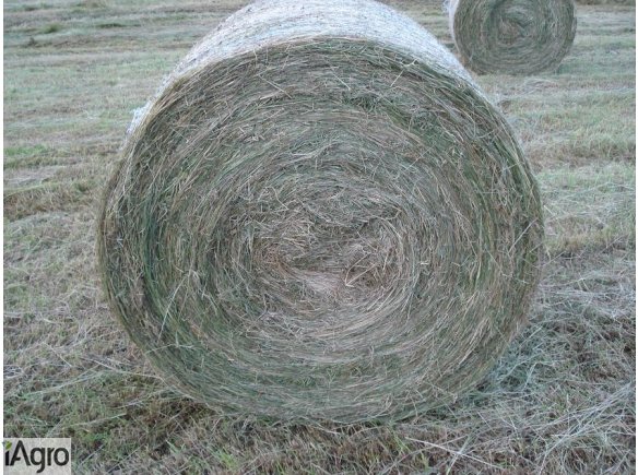 Siano i słoma na sprzedaż