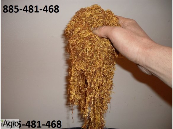 Pewny tytoń 885-481-4468