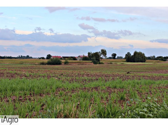 Ziemia 3,00 hektara