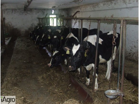 OBWIESZCZENIE O LICYTACJI okolice CIESZYNA