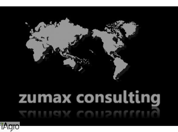 Siec sprzedaży - palety EUR, Dusseldorfer, jednorazowe, kosze, boxy