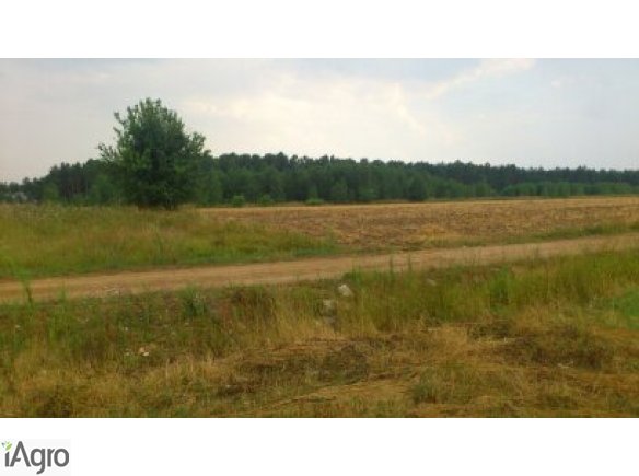 Działka Błędowo powiat nowodworski ATRAKCYJNA CENA