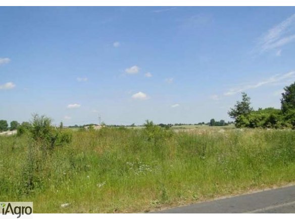 Atrakcyjna działka we wsi Słupeczka za 17 tys. zł!!!