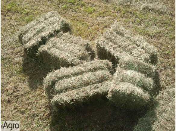 SIANO, mała kostka sprzedam!!!