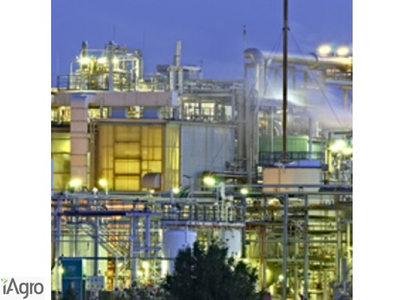 Producent Estrów Metylowych poszukuje strategicznego dostawcę oleju rzepakowego.