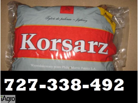 TYTOŃ średni mocny słaby 727-338-492 80ZL 1KG