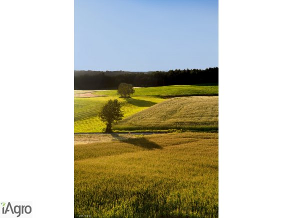 68ha zachodniopomorskie jeden rozłóg 1.031.298 PLN