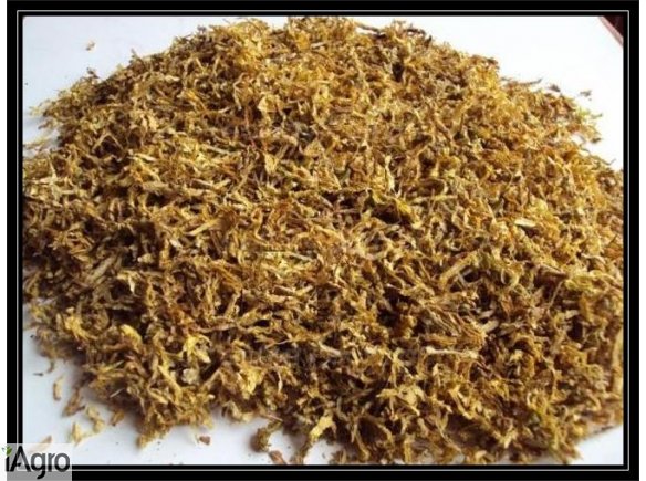 WYSOKIEJ JAKOŚCI TYTONIE! 65 ZŁ!