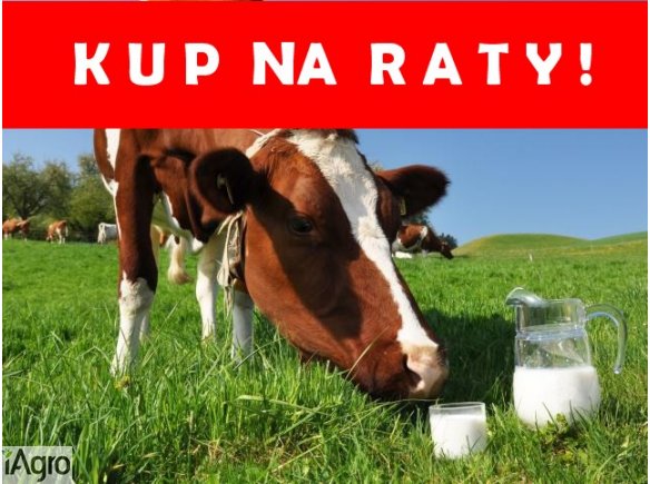 BYDŁO NA RATY ! ! ! !