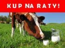 BYDŁO NA RATY ! ! ! !