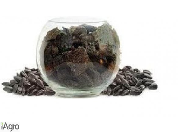 Sprzedam makuch słonecznikowy 20 - 1000 t/m