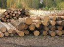 Ukraina.Drewno opalowe 15 zl/m3 + zrebki,zrzyny,trociny 4 zl/m3