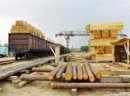Ukraina.Drewno opalowe 15 zl/m3 + zrebki,zrzyny,trociny 4 zl/m3 - zdjęcie 7