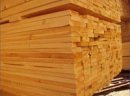 Ukraina.Drewno opalowe 15 zl/m3 + zrebki,zrzyny,trociny 4 zl/m3 - zdjęcie 3
