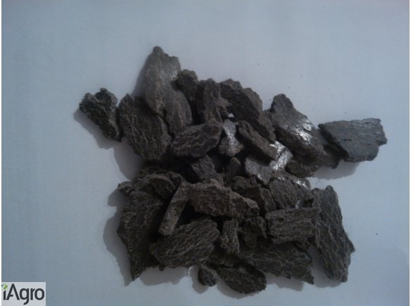 Sprzedam makuch słonecznikowy