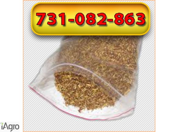 Tani tytoń papierosowy 80zł 1kg PROMOCJA ŚWIĄTECZNA!!! 100g gilzy GRATIS!!!