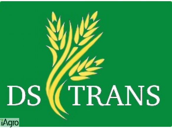 SPRZEDAM PSZENICĘ PASZOWĄ I KUKURYDZĘ