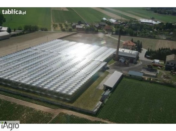 Sprzedam nowoczesne ogrodnictwo szklarniowe