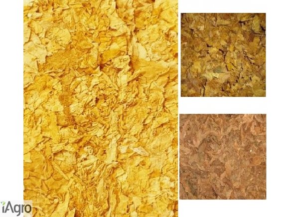 Liście tytoniu w postaci strips 