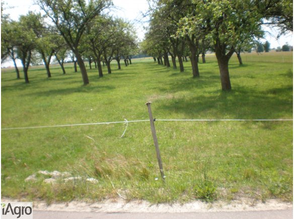 DZIAŁKA PRZEMYSŁOWA - INWESTYCYJNA  BRATUSZYN