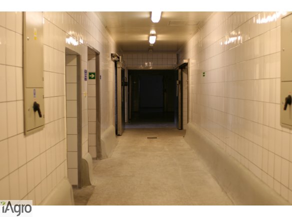 Wydzierżawię Zakłady Mięsne- w Rakoniewicach