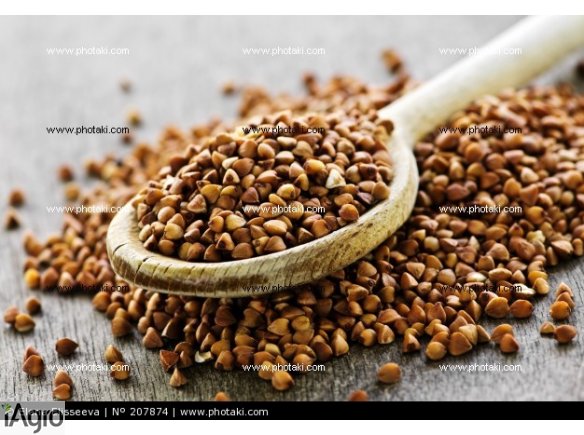 Kupię proso, grykę, łubin, słonecznik, rzepak, rzepik, kminek, jęczmień, wykę, facelię, peluszkę, groch żółty i zielony, gorczycę białą, pszenicę. Płacę gotówką na załadunku. Odbieram własnym transportem na terenie całego kraju. +48 502-522-700  kamila@ka