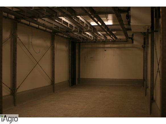 Wydzierżawię Zakłady Mięsne Rakoniewice 