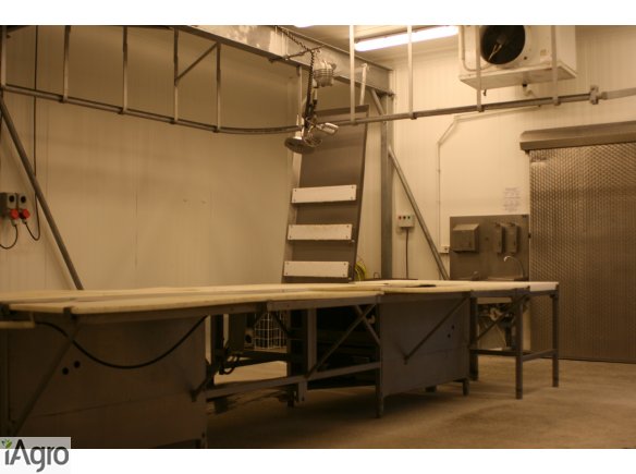 Wydzierżawię Zakład Mięsny w Rakoniewicach