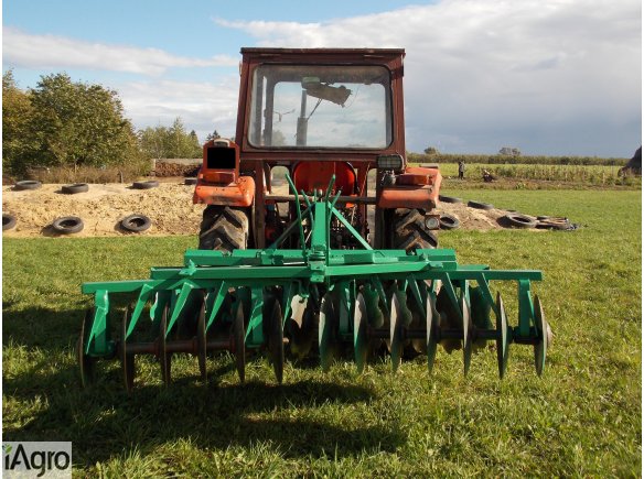 Talerzówka Niemiecka