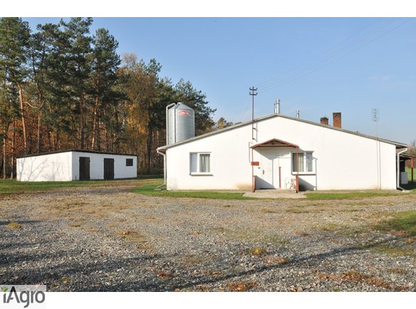 Chlewnia tuczu na 1300 stanowisk