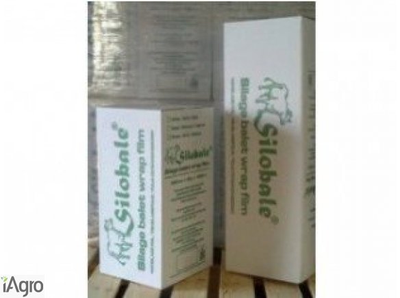 SILOBALE!!! SILOBALE!!! SILOBALE!!!