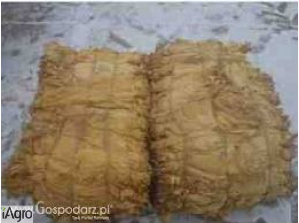 Sprzedam liscie  virgini