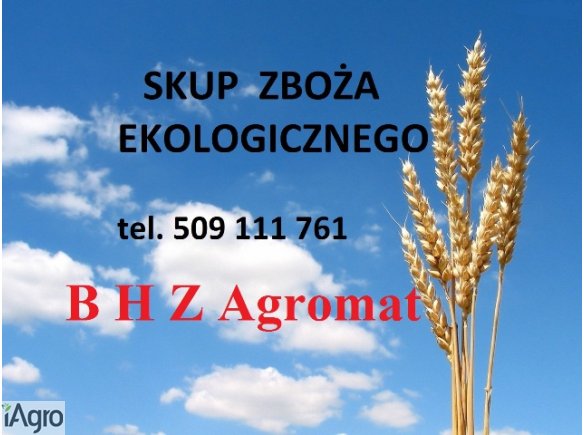 B H Z Agromat kupi zboża ekologiczne. 