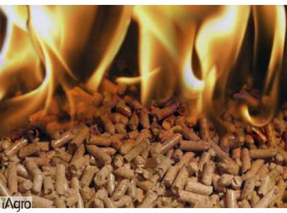 Pellet z luski slonecznika