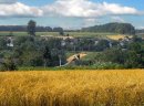 Ukraina.Dzialki,grunty,produkcja rolnicza w okazyjnych cenach - zdjęcie 3