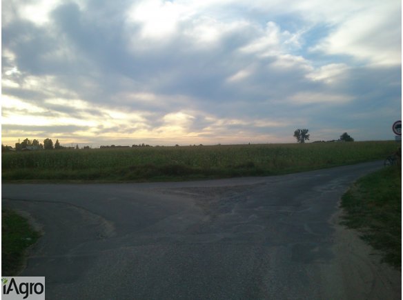 Sprzedam ziemię/grunt pod inwestycję POWIAT KALISKI